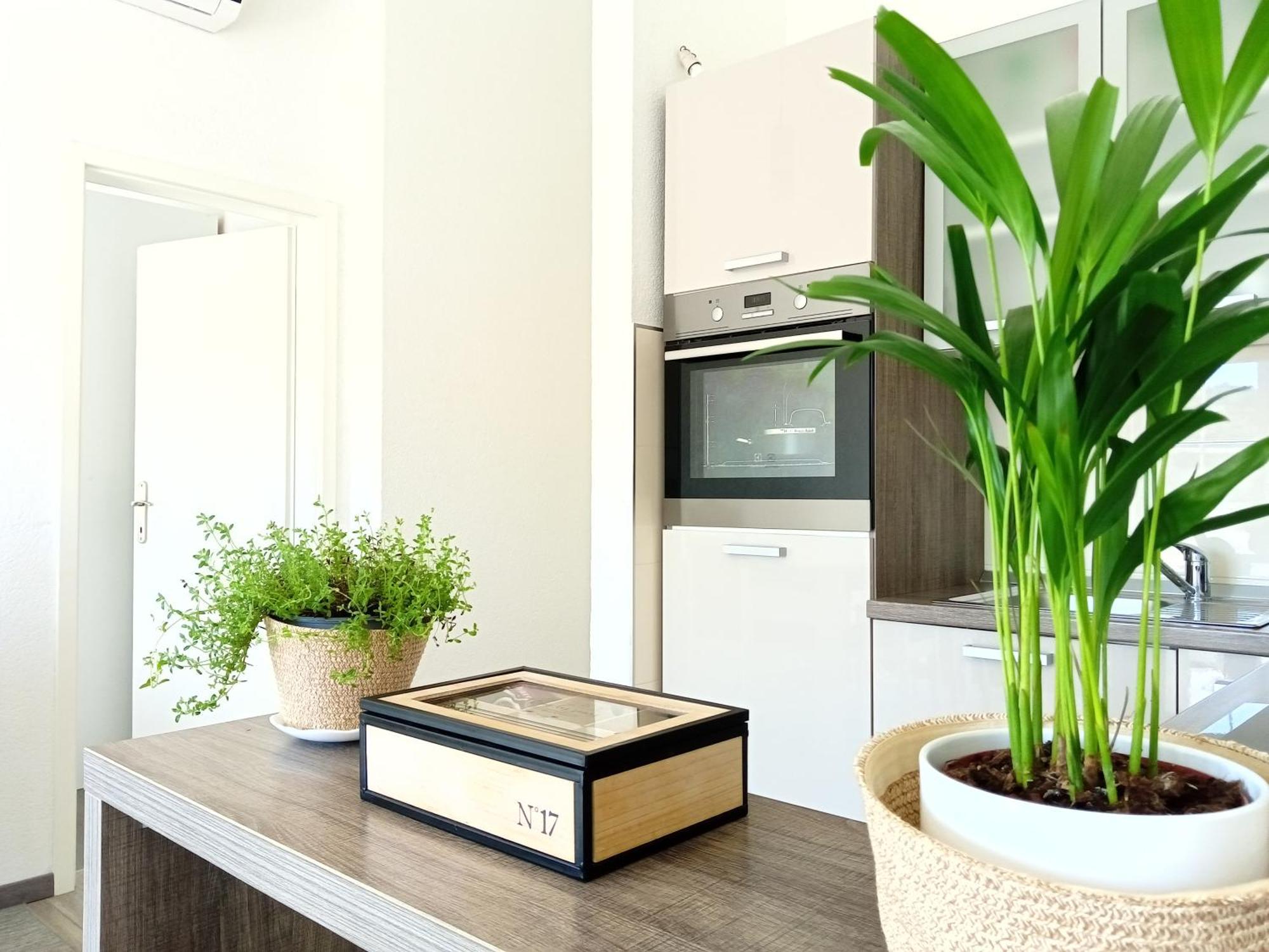 Apartment Ante Хвар Екстер'єр фото